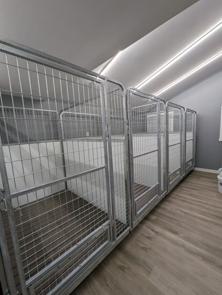 Kennel Shot